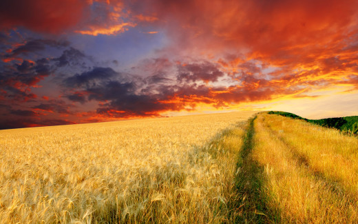 500263 (a): :1920x1200